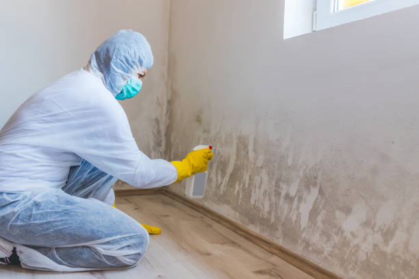 Black mold inspection in Muldraugh