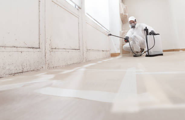 Black mold remediation team in Muldraugh